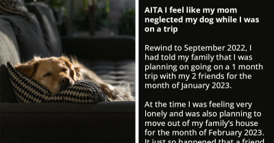 Redditor Shares Story About Their Mom Neglecting Their Dog While They Were On A Trip; Redditors Explain to Her That She Is the A-Hole Here