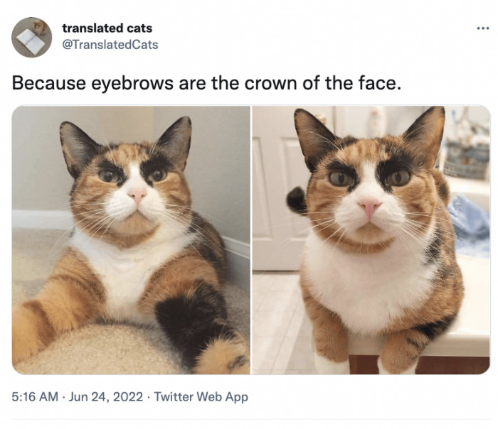 2. The feline looks like it came out of a cartoon.