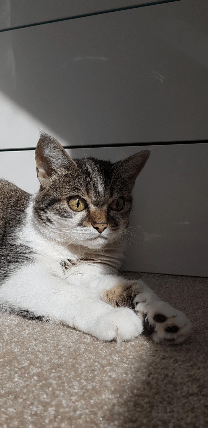 9. "This is Betty. Betty is upsetty."