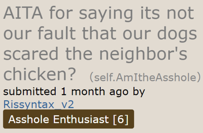 A dog owner believes that her dogs aren't at fault.