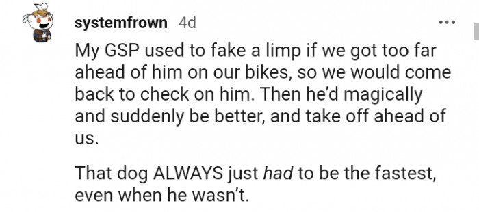 25. This dog who always has to be the fastest