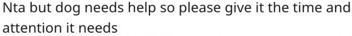 3. She should assist in the dog's care.