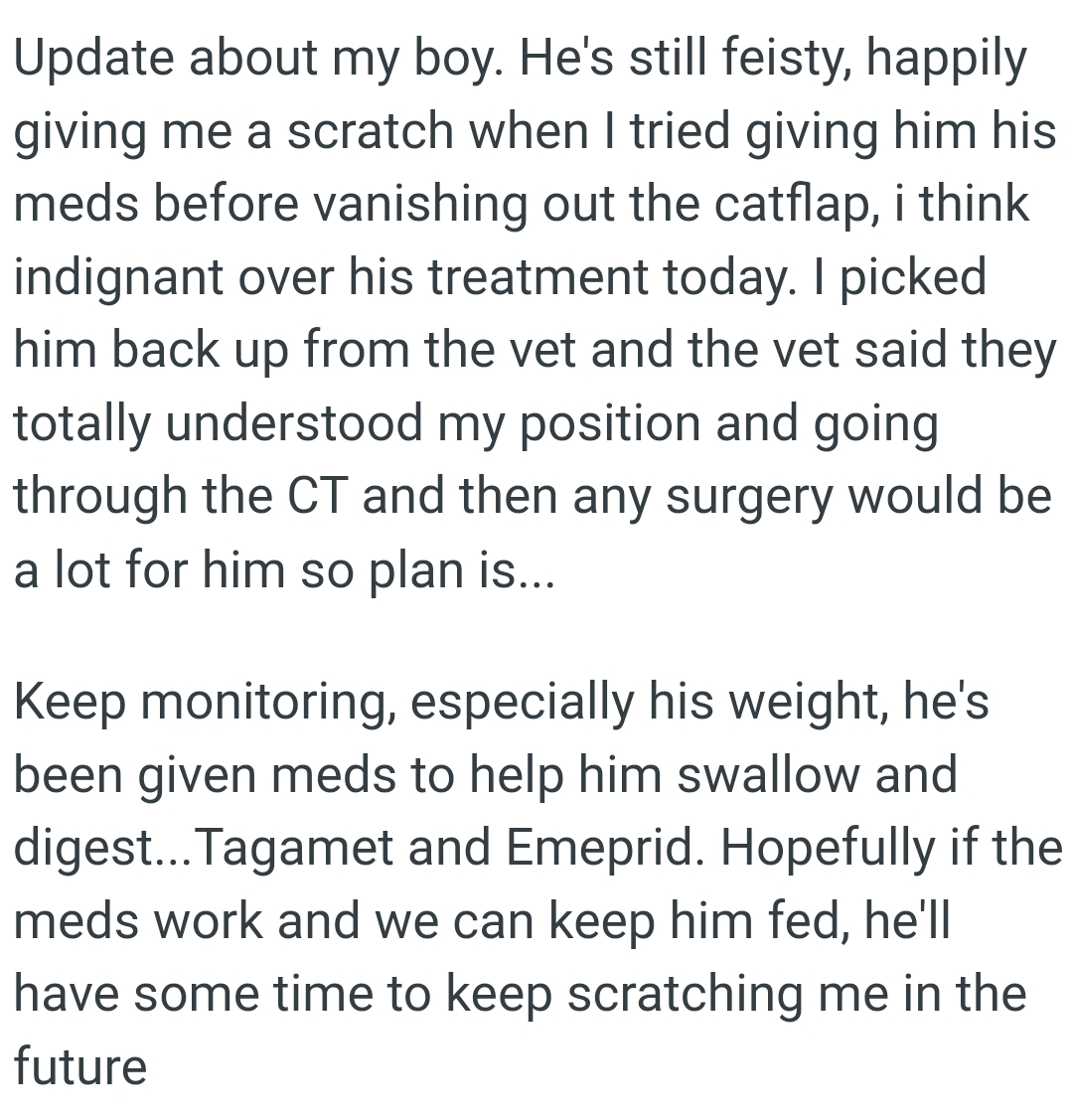 OP left this update about his cat later on