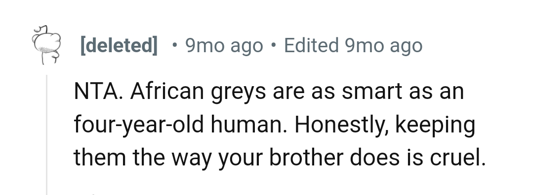 Greys are as smart as a four-year-old