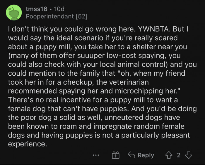 OP could take some precautions before giving the dog back.