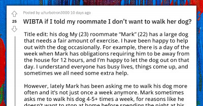 Redditor Asks If He'll Be The A-Hole If He Doesn't Want To Walk His Roommate's Dog