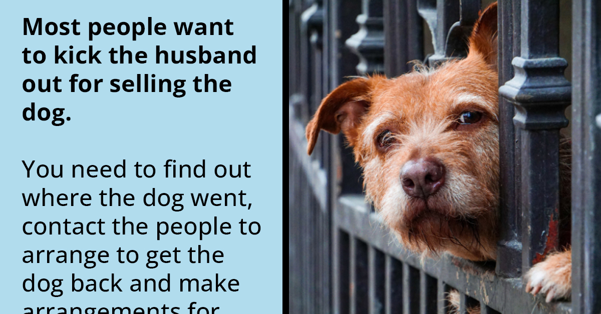 Husband Sells Beloved Family Dog Of Six Years Without Consent, Wife Seeks Advice On Supporting Soon-To-Be Heartbroken Children