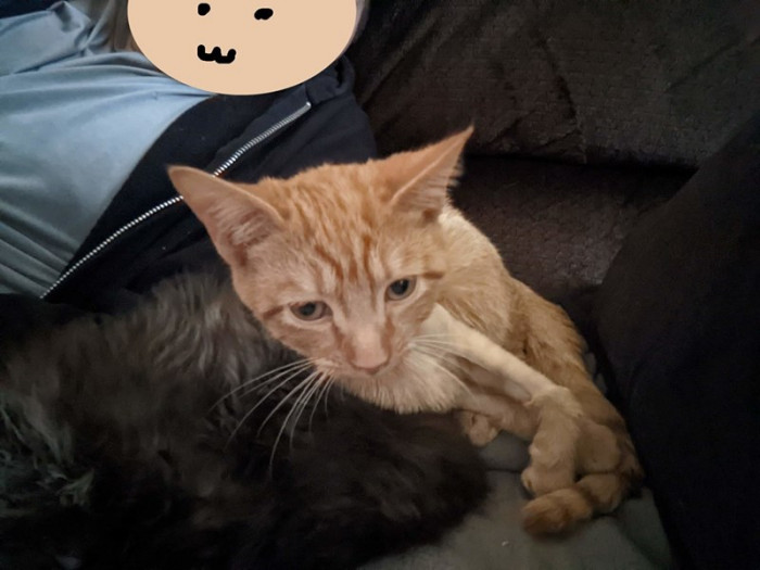 They discovered his jaw was fused shut from a badly healed jaw injury