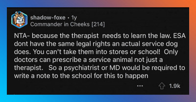 Mother Refuses To Get An Emotional Support Animal For Her Daughter Because She Doesn't Like Dogs