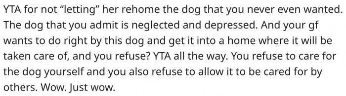4. He should allow others to care for the dog since he doesn't want him.