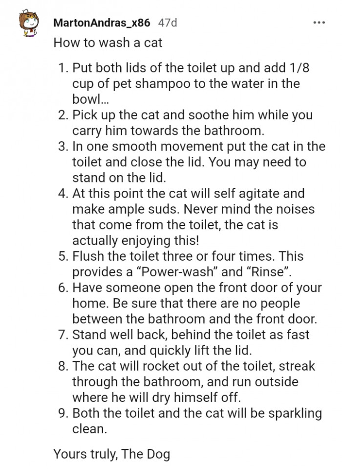 Redditor Shares Story About The Day He Messed Up By Unintentionally