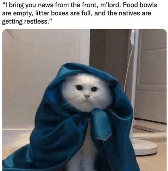 12. So get to work immediately