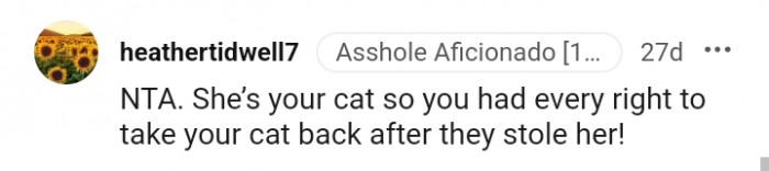 You have every right to take your cat