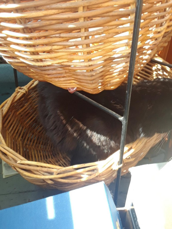 11. I'm not leaving this place ever