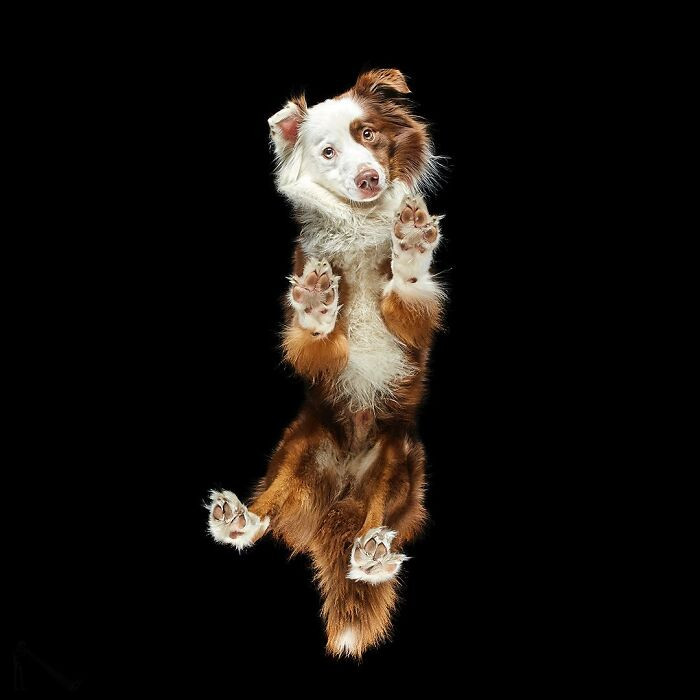 13. “Half awkward, half adorable — 100% relatable.”