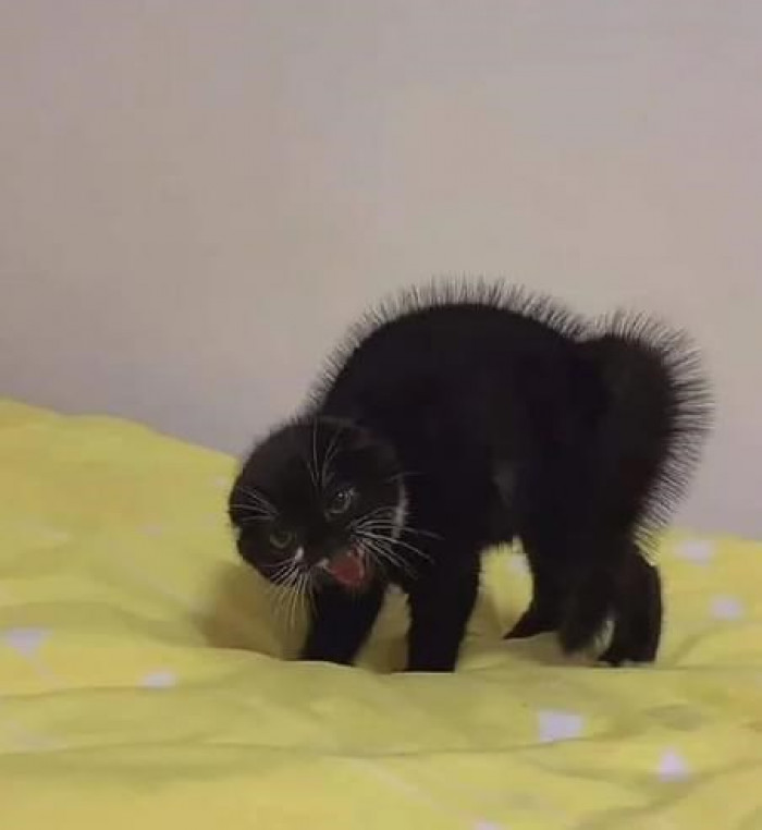 1. Want to see my scary side, huh?