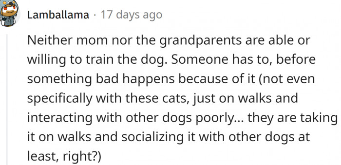 Someone has to train that dog, and neither mom nor the grandparents are able or willing to train it.
