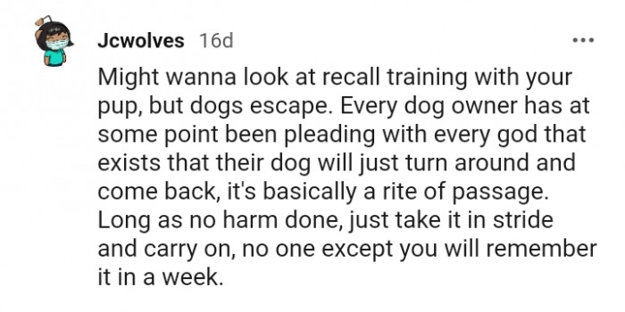 Just take it in stride and carry on