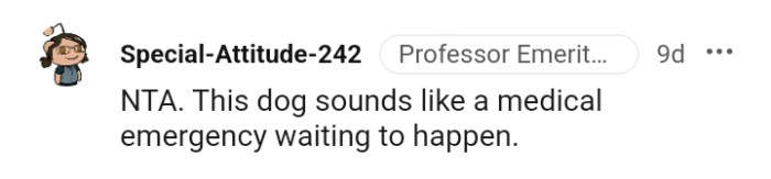 Another Redditor Believes the Dog Is a Medical Emergency Waiting to Happen