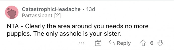 Woman debates spaying a cousin’s dog, concerned about guilt and anxiety