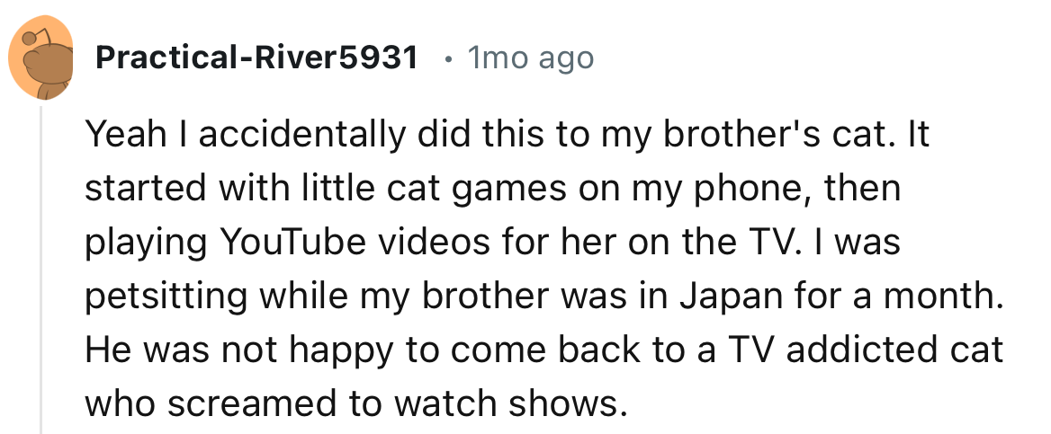 “I accidentally did this to my brother's cat. It started with little cat games on my phone, then playing YouTube videos for her on the TV.”