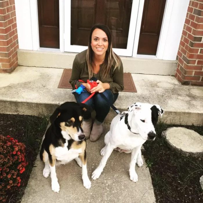 The Dog's Previous Owner Left a Message Stating That the White Dog Needed to Find a New Home