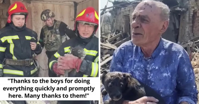 Heartwarming Moment Puppy Is Rescued From Ruins And Reunited With His 77-Year-Old Hooman Dad