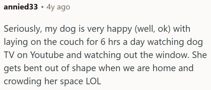 Some dogs don't have a problem with being alone