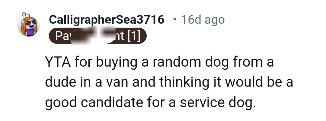 A good candidate for a service dog