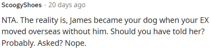 James became OP's dog when his ex moved overseas