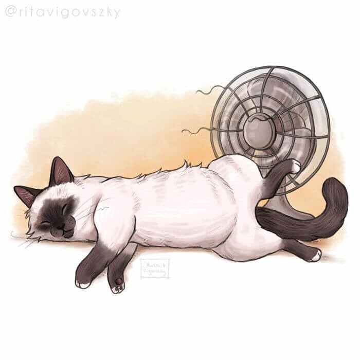 1. First hot spot on the floor, then fan time