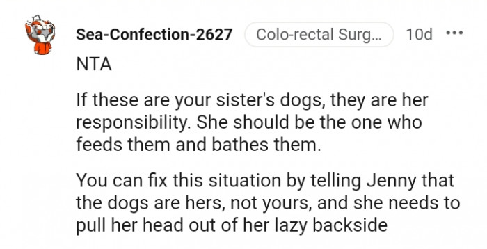 Your sister's dog, your sister's responsibility