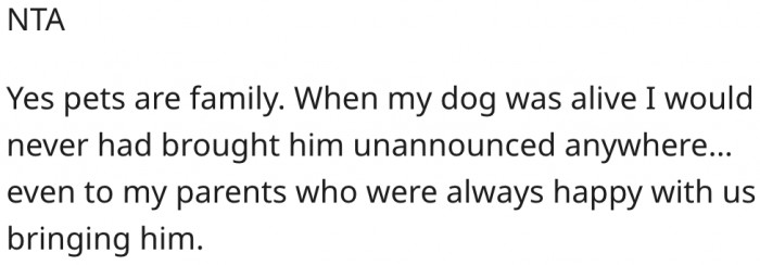 7. Pets are family, but you shouldn't take them to places without permission.