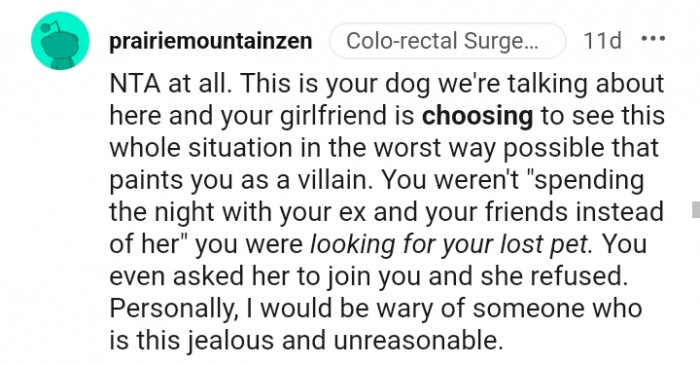 6. You were looking for your lost pet