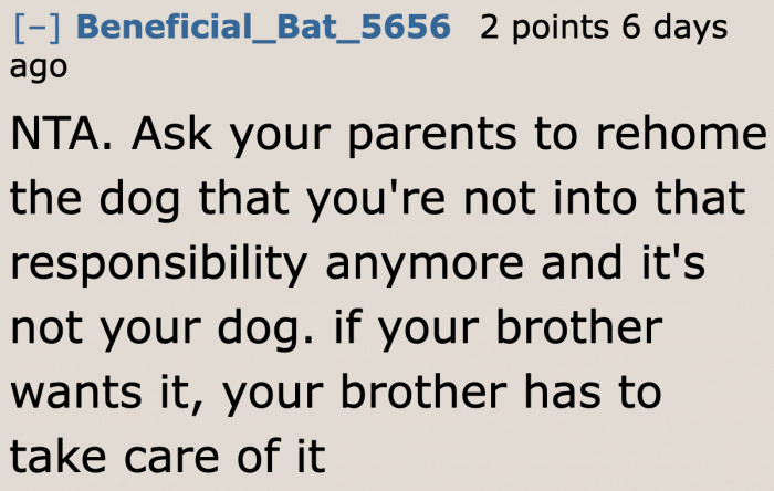 Maybe it's better to rehome the dog if it's not getting the care it needs.