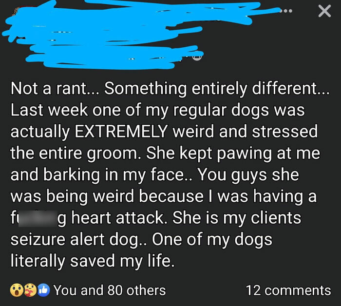 That's a good girl right there!