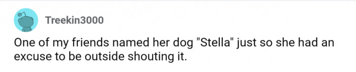 30. So many folks taking the perfect opportunity to name their pets iconic yelling names