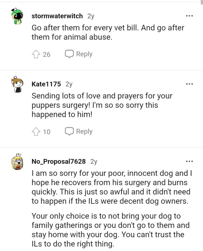This Redditor says the OP can go after them for animal abuse