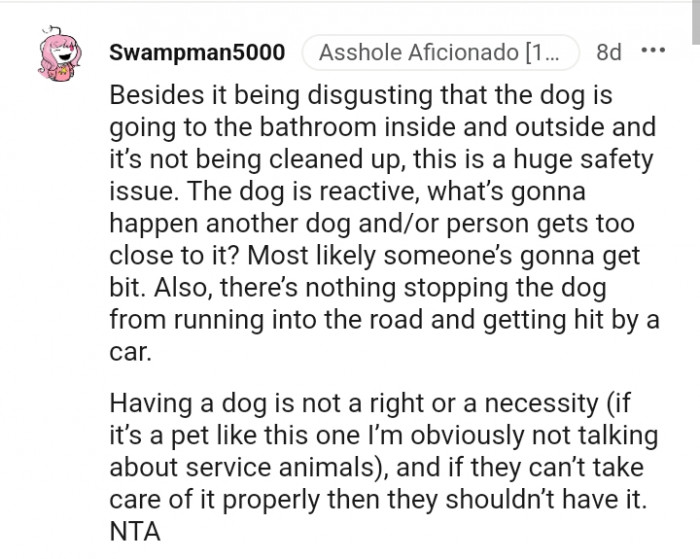 There's Nothing Stopping the Dog from Running