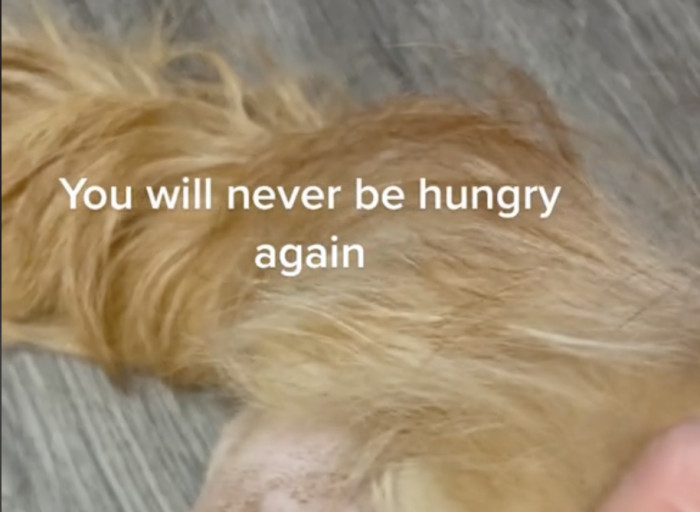 Warning: ninjas are cutting onions