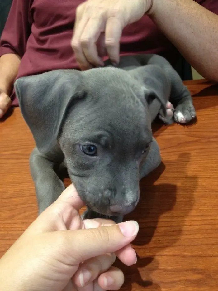 2. Time for some scritches