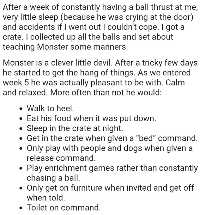 The friend's dog is a clever little devil, and after a tricky few days, he started to get the hang of things.