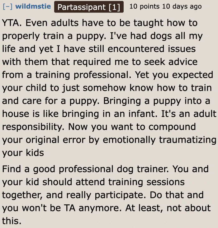 Dogs are like babies. That's why adults should always be involved in caring for them.