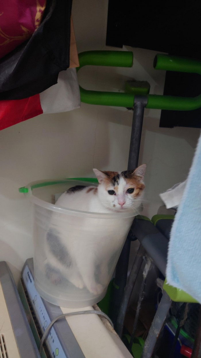 7. Thank you! I'm perfectly fine right here