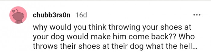 Who throws their shoe at their dog?