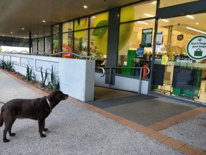 Patient and loyal as heck