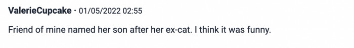 A Reverse-Uno Card Scenario Happened to Another Person's Friend, Where They Named a Child After a Former Pet