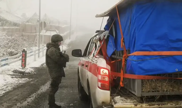 The lion was transported to a place that would be his new home.