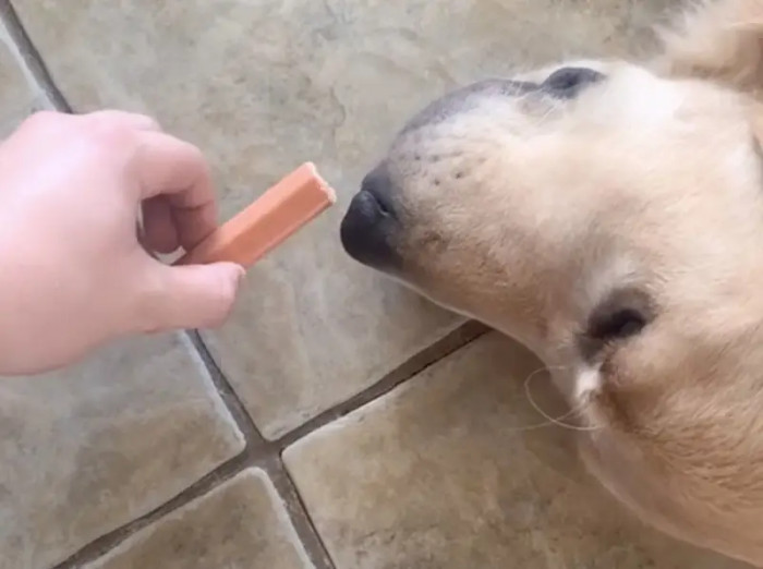 4. He Wasn’t About to Miss That Opportunity