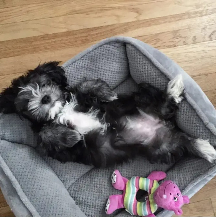 13. This squishy girl wants a cuddle, I guess, and she's going to get it